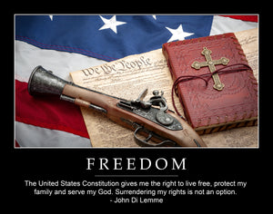Freedom Poster with Quote (11 x 14)